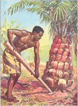 robins-mensah felling palm